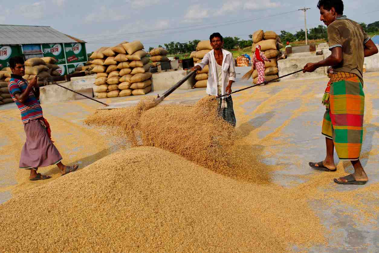 Concerns about basmati exports