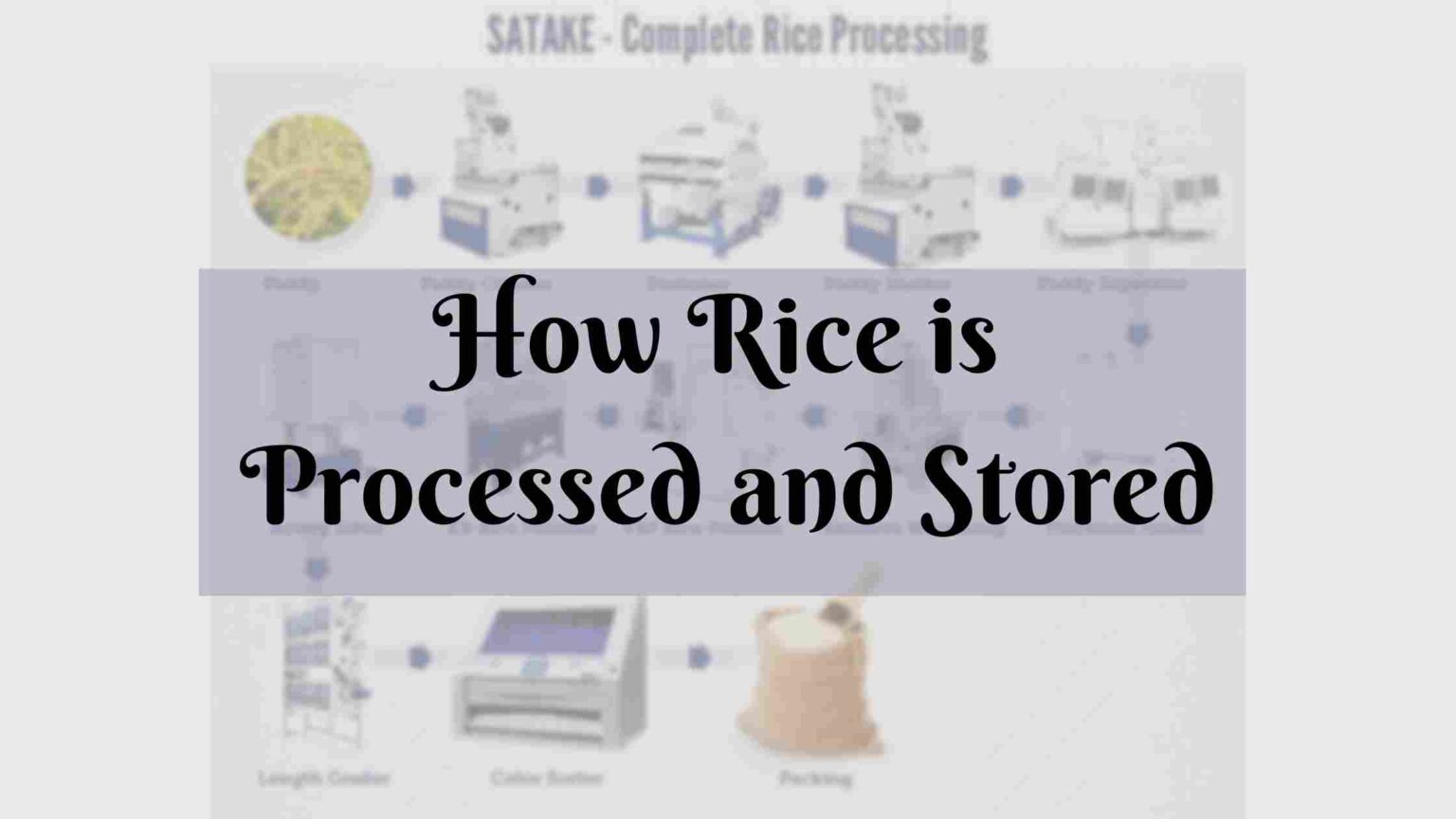 How Rice is Processed And Stored By Basmati Rice Millers SK Exports