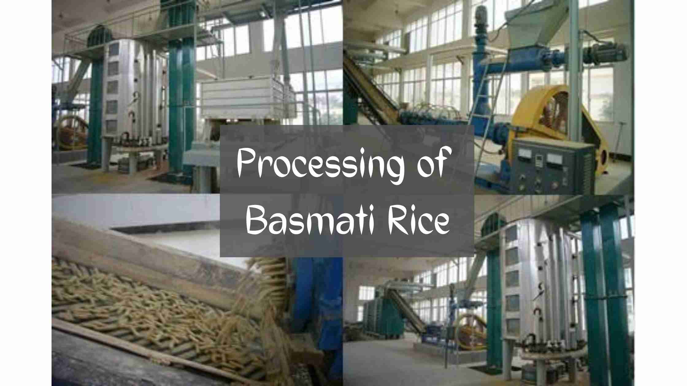 Processing of Basmati Rice