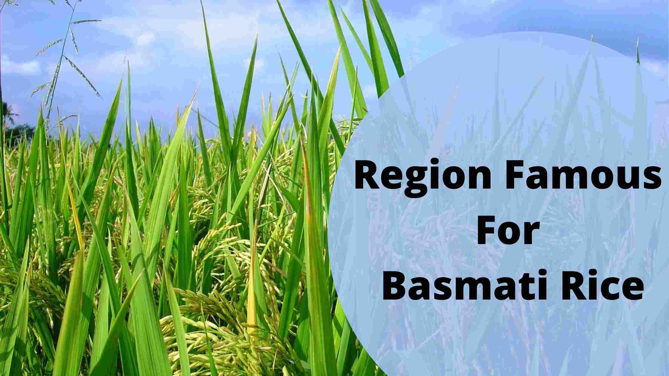 Region Famous For Basmati Rice