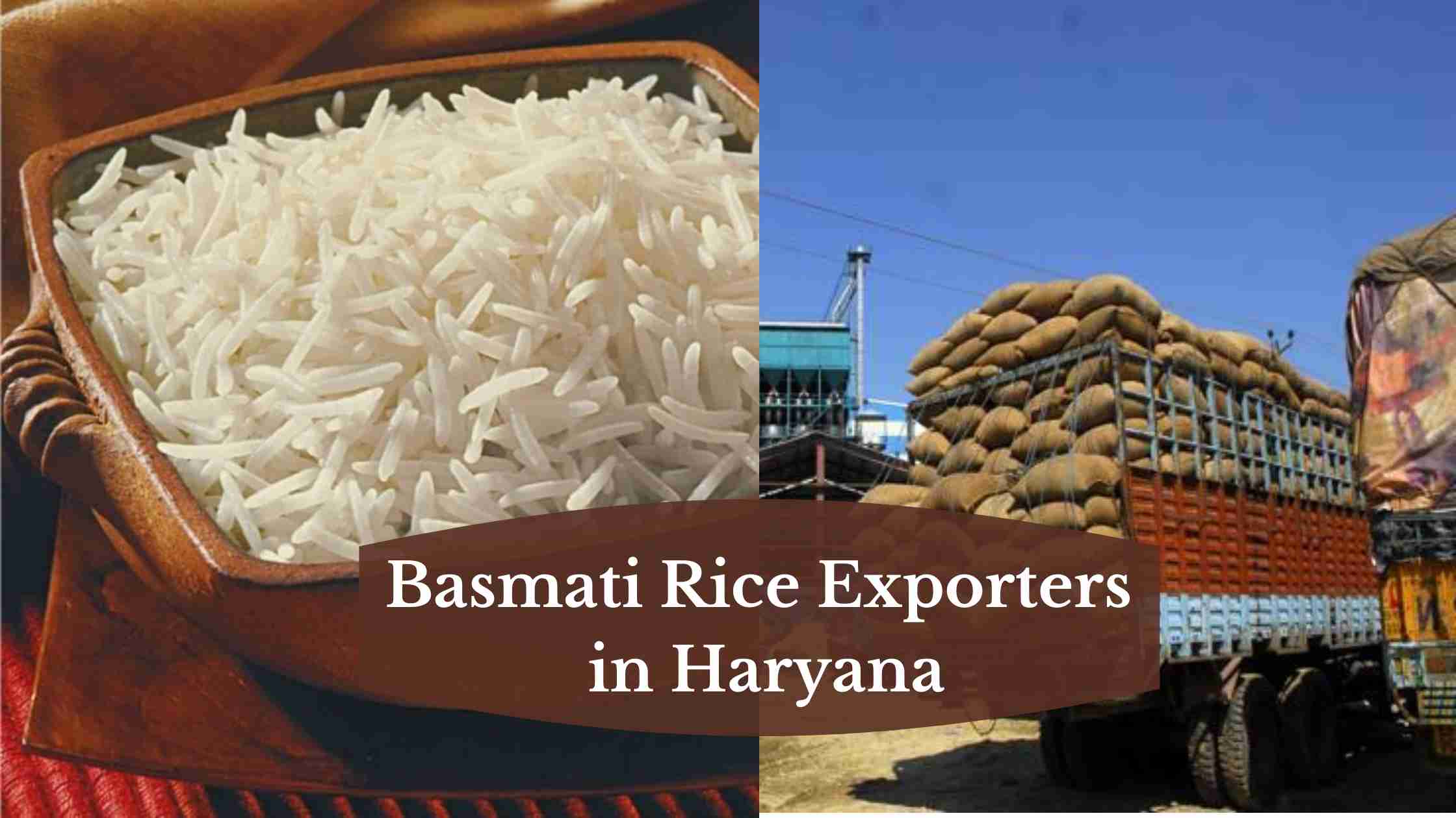 Basmati Rice Exporters in Haryana