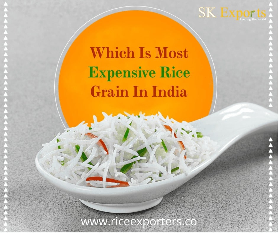 Most Expensive Rice Grain In India