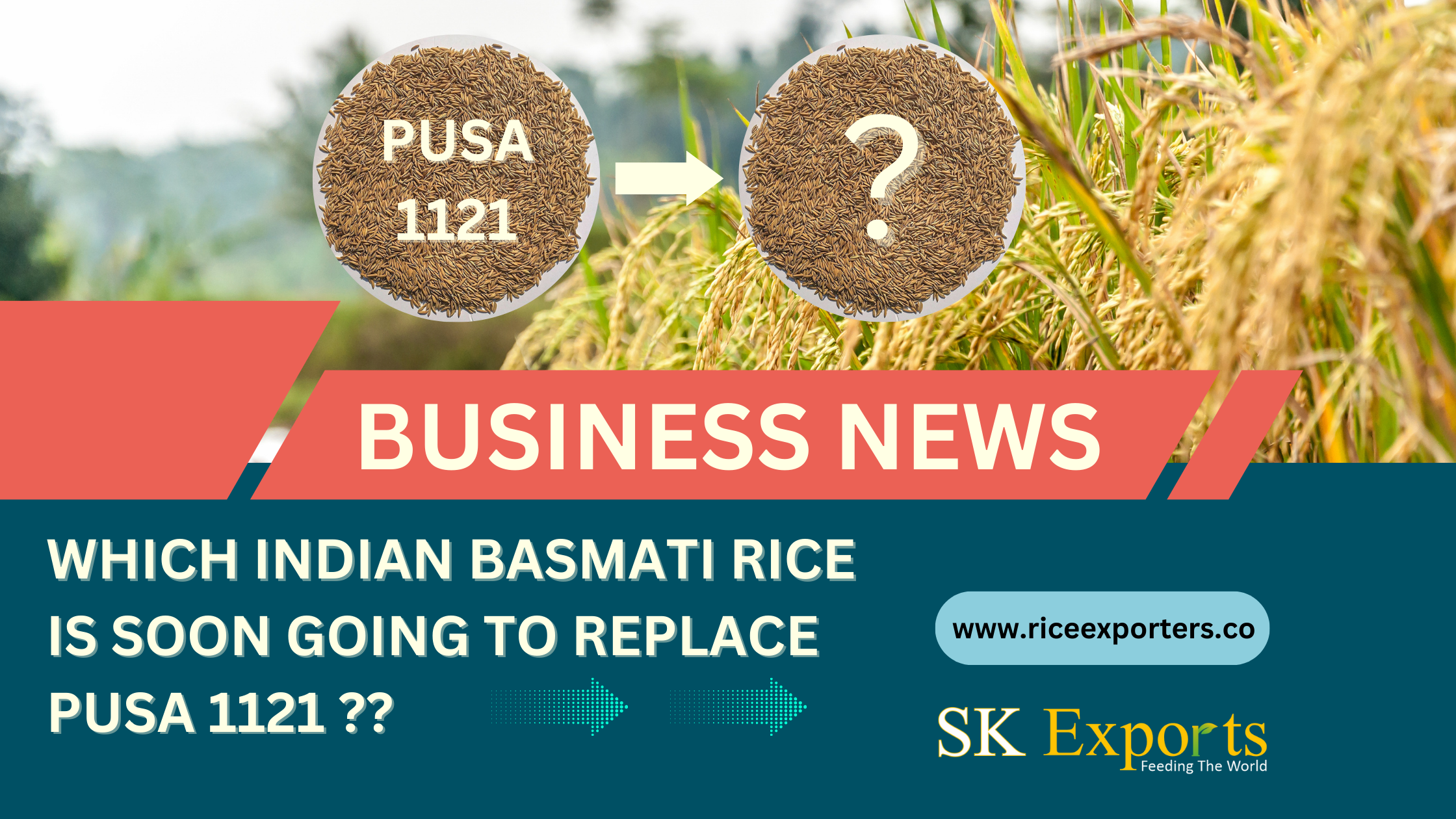 The Transition of India's Basmati Rice