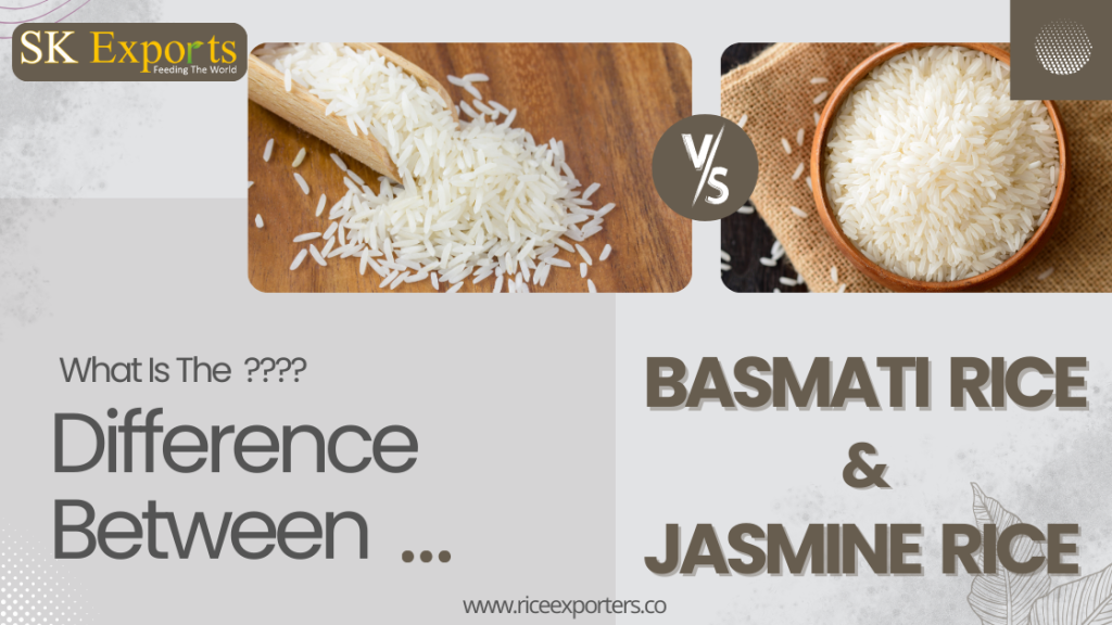 Basmati Rice vs Jasmine Rice