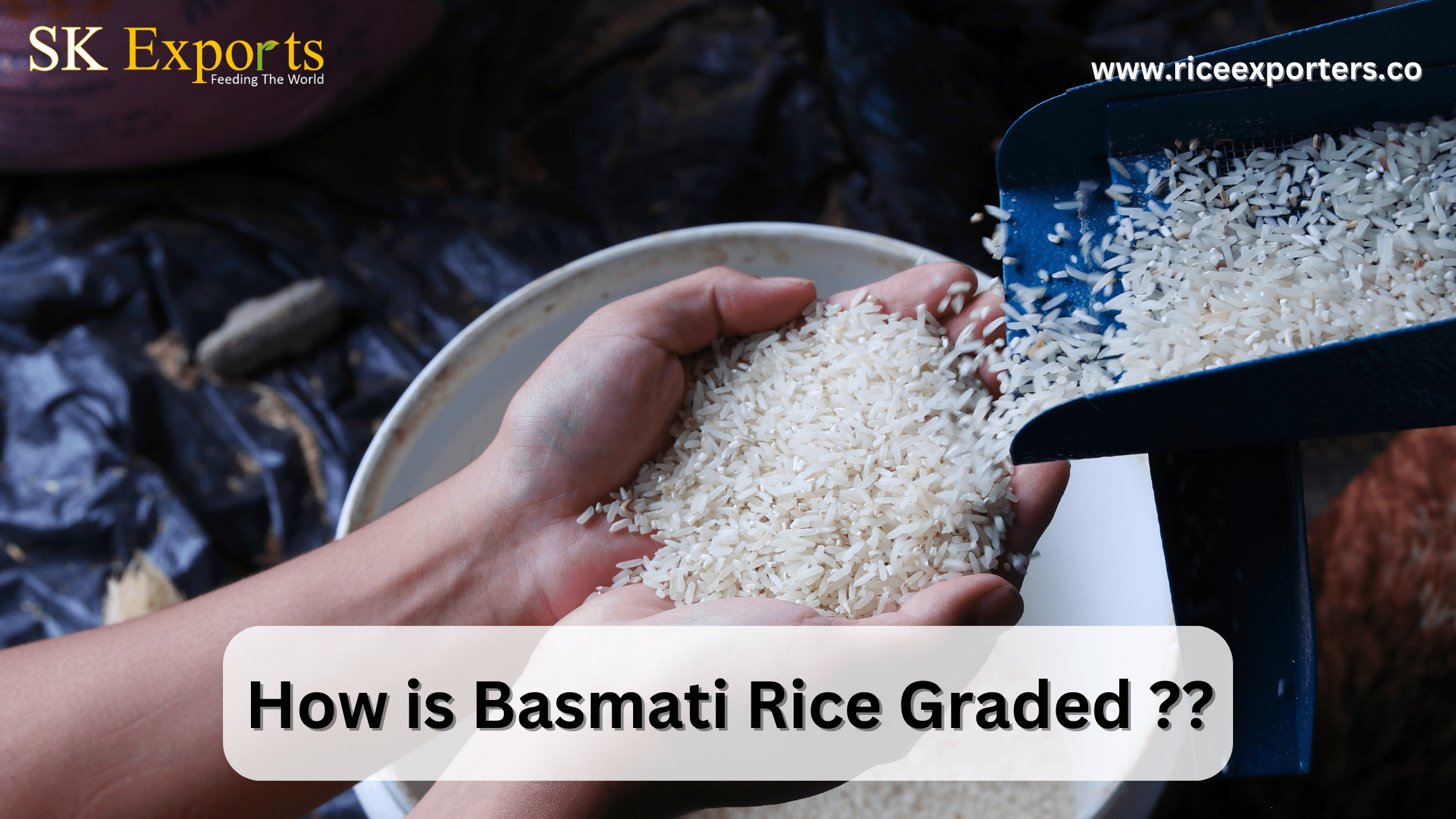 Basmati Rice Graded